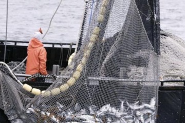 Pesca: el Gobierno recoge el reclamo del peronismo y analiza ampliar las sanciones por Malvinas