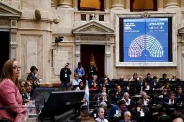 La oposici&oacute;n logr&oacute; avanzar en Diputados con Discapacidad y morosidad: cu&aacute;ndo se tratar&aacute;n los proyectos