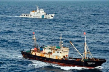 Denuncian por contrabando a pesqueras que operan en el Atl&aacute;ntico Sur bajo licencias brit&aacute;nicas