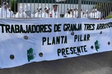 Foto de Crisis en Granja Tres Arroyos: despidos, salarios adeudados y una oferta de pago con pollo