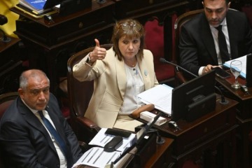 El Senado debate Salud Mental: internaciones involuntarias y ludopat&iacute;a, entre los puntos m&aacute;s cuestionados